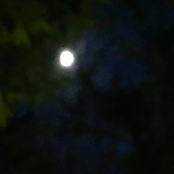 The Night