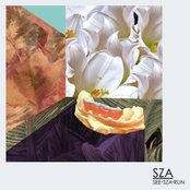 See.SZA.Run Album Picture