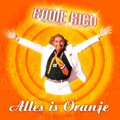 Alles is Oranje