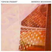 Fucked Up/Serena Maneesh