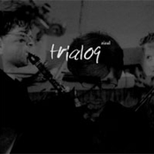 trialog