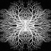 Crushed Grass And Milky Ganglia