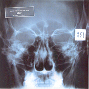 Silent Parade To The Spine