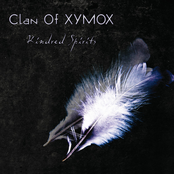 Alice by Clan Of Xymox