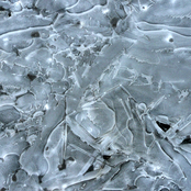 frost pattern