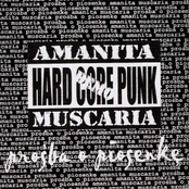 Prosba o piosenke (demo 2004)