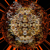 美しく死んでいる