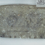 Glass Torn And War Shortage: The Purposeful Poisoning Of A Shardless Society