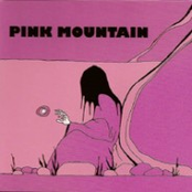 Biography Of The Sun by Pink Mountain