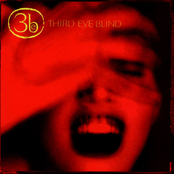 Losing A Whole Year by Third Eye Blind