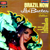 A Man And A Woman by Les Baxter