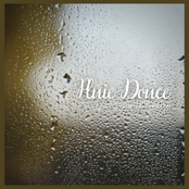 Pluie douce sur la fenêtre