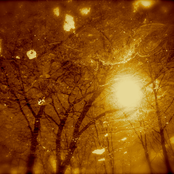 Feral Trance Sigilization