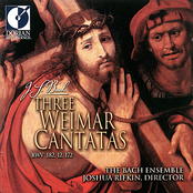 Three Weimar Cantatas