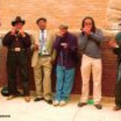 chicago blues harmonica project