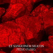 Primo Passo