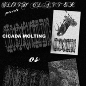 Botflies vs Cicadas Tape