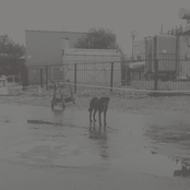 After Its Own Death/Walking in a Spiral Towards the House