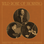 Jordan Tice: Wild Rose of Morning