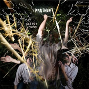 Telephone Wire by Panther