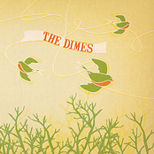 The Dimes: The Silent Generation