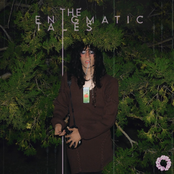 The Enigmatic Tales of One With No Purpose