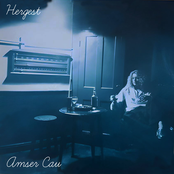 Amser Cau