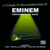 A Tribute to the Greatest Hits of Eminem