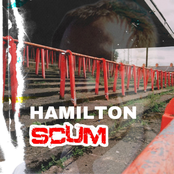 Hamilton Scum