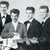 bobby vee and the strangers