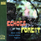 Echoes Of The Forest