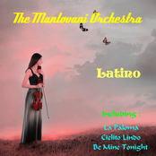 Blue Tango by The Mantovani Orchestra