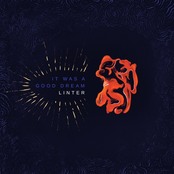 Linter - Single