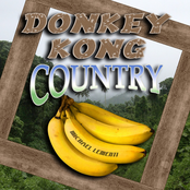 Donkey Kong Country
