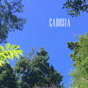 CADOSIA