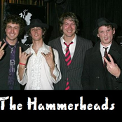 The Hammerheads