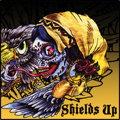 shields up