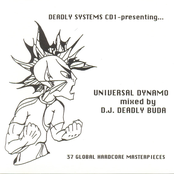 Universal Dynamo