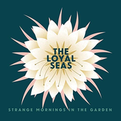 The Loyal Seas: Strange Mornings in the Garden