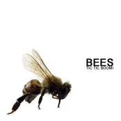 Bees - single