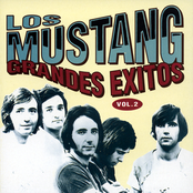 Los Mustang: Grandes Exitos Vol.2