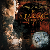 A Passage in the Flow of Life