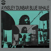 Blue Whale
