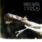 New Haven: 1, Taz: 0