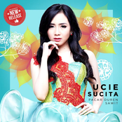 Pacar Duren Sawit (J. Shalwa feat. Roy. B Radio Edit Mix)