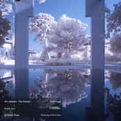 Eric Jackson: The Distant