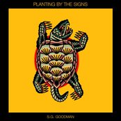 Solitaire album art