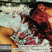 Submandible Limphatic Muscles