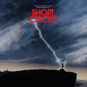 Short Circuit by 501