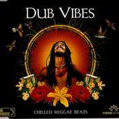 Dub Vibes Disc 2